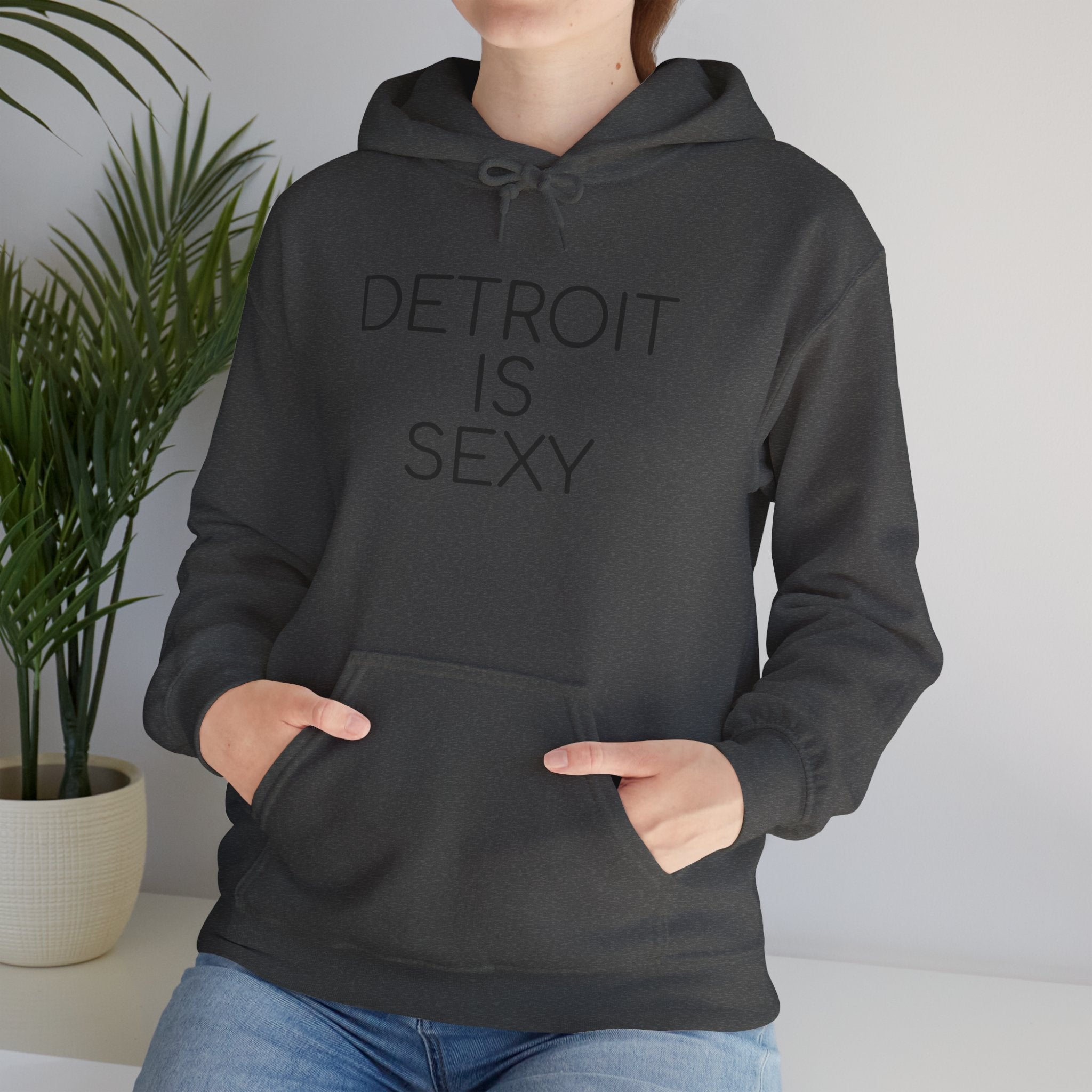 Detroit is Sexy Hoodie - Tonyalicious Tees