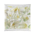 Luxe Lilies Comforter - Tonyalicious Tees