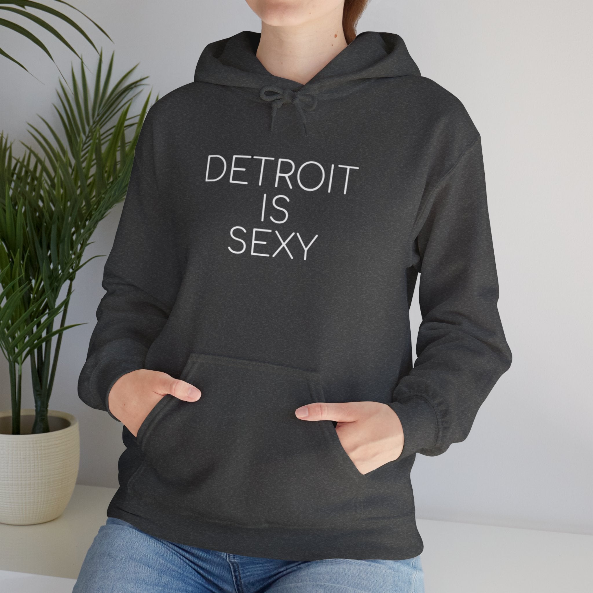 Detroit is Sexy Hoodie - Tonyalicious Tees