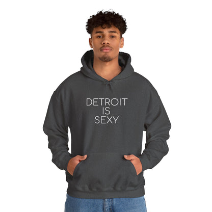 Detroit is Sexy Hoodie - Tonyalicious Tees