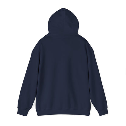 Up, Mid, Downtown Detroit Hoodie - Black Print - Tonyalicious Tees