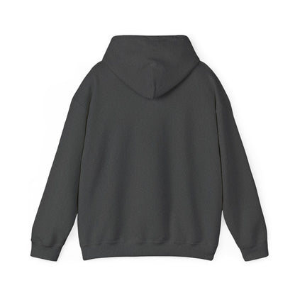 Up, Mid, Downtown Detroit Hoodie - Black Print - Tonyalicious Tees