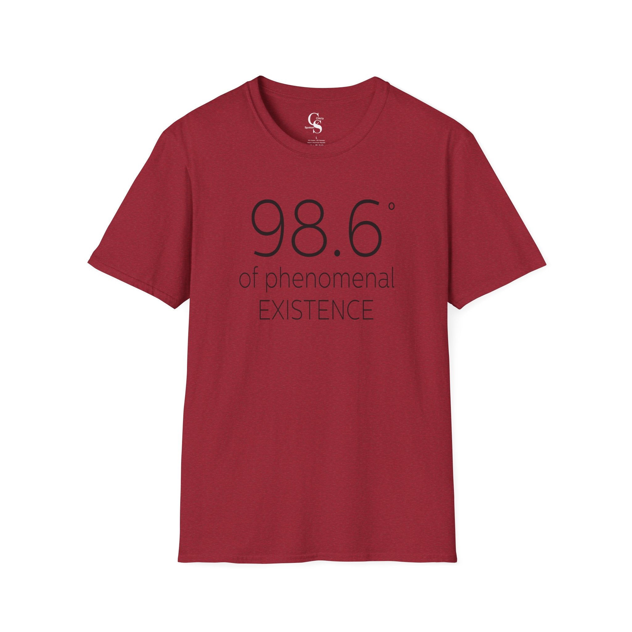 98.6 Degrees of Phenomenal Existence Tee - Tonyalicious Tees