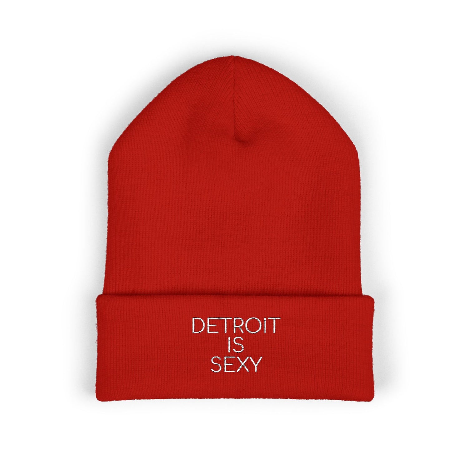 Detroit is Sexy Embroidered Beanie