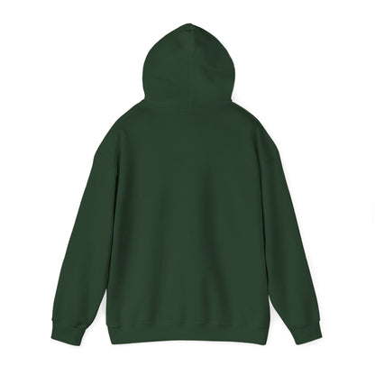 Up, Mid, Downtown Detroit Hoodie - Black Print - Tonyalicious Tees