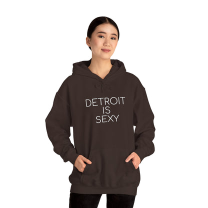 Detroit is Sexy Hoodie - Tonyalicious Tees