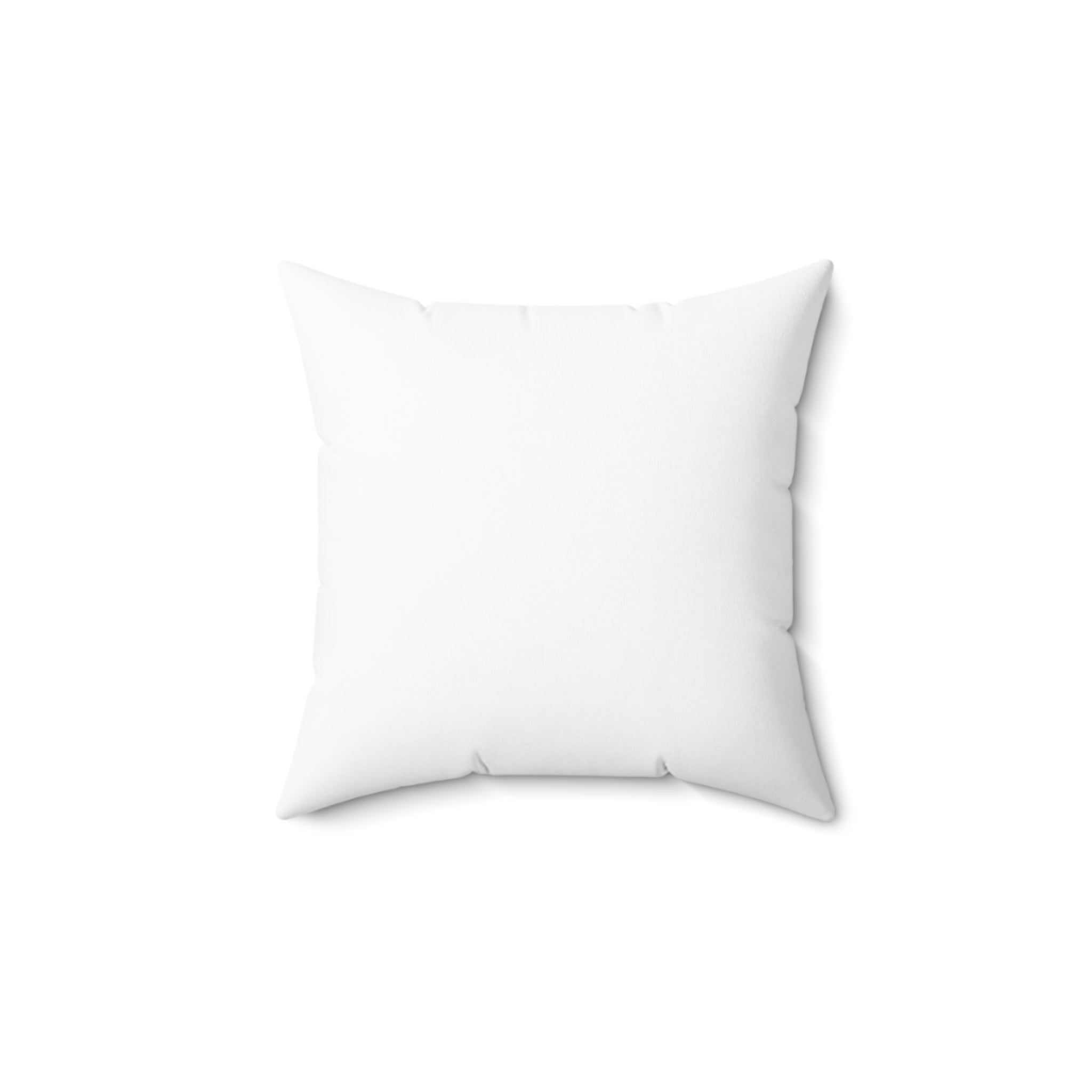 Detroit Fabulous Pillow