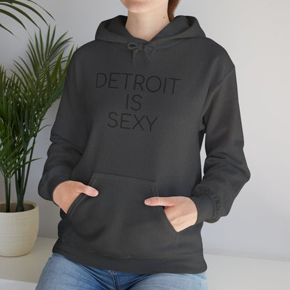 Detroit is Sexy Hoodie - Tonyalicious Tees