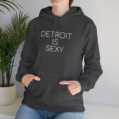 Detroit is Sexy Hoodie - Tonyalicious Tees