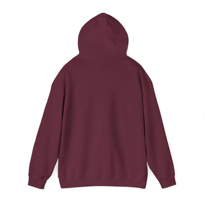 Up, Mid, Downtown Detroit Hoodie - Black Print - Tonyalicious Tees